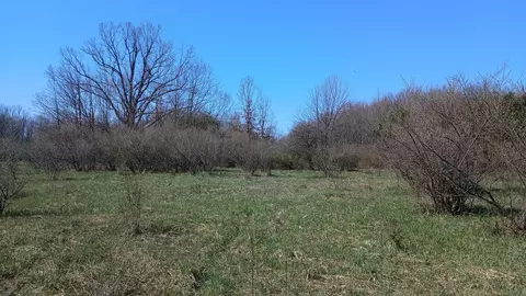 3607 E Hansen Rd, Custer, MI 49405 photo 73