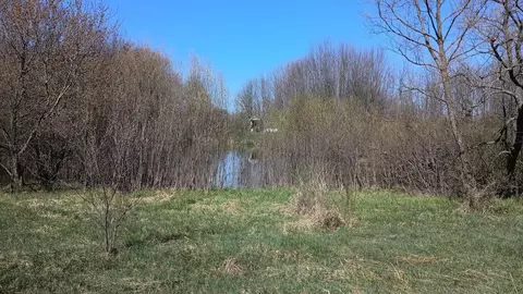 3607 E Hansen Rd, Custer, MI 49405 photo 72