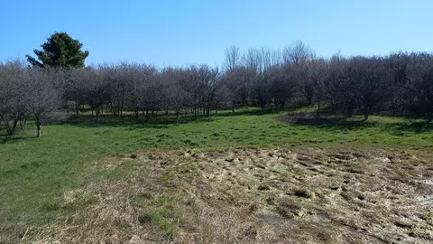 3607 E Hansen Rd, Custer, MI 49405 photo 63