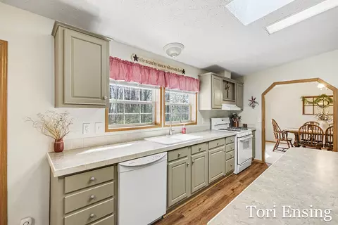 1235 Willow Dr, Stanton, MI 48888 photo 14