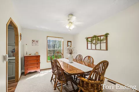 1235 Willow Dr, Stanton, MI 48888 photo 7