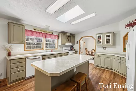 1235 Willow Dr, Stanton, MI 48888 photo 11