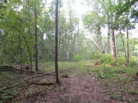Madden Road, Dexter, MI 48130 photo 5