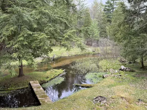 View/Area - 4699 N Able Rd, Irons, MI 49644 photo 3 of 4