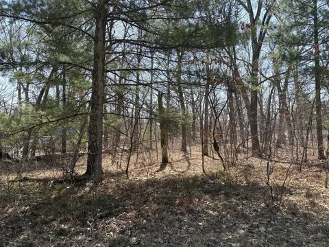 S Chief Okemos Trail, Baldwin, MI 49304 photo 2