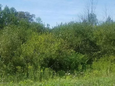 V/L S Marlene Street #16, Rothbury, MI 49452