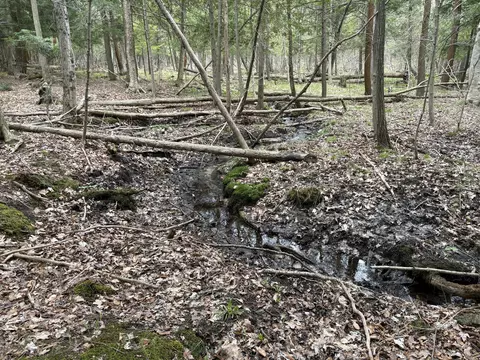 2 W 27 Acres W Shelby Rd, Shelby, MI 49455