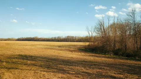 tbd 2nd Ave, Gobles, MI 49055 photo 5