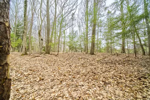 E Piney Road, Manistee, MI 49660