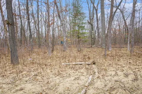 V/l N Woodbridge Road, Bitely, MI 49309