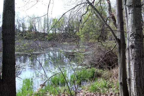 V/l Frost Road, Portland, MI 48875