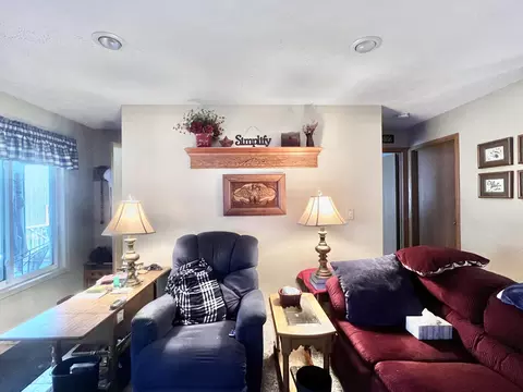 Living - 8056 Sawdey Rd, Jerome, MI 49249 photo 5 of 10