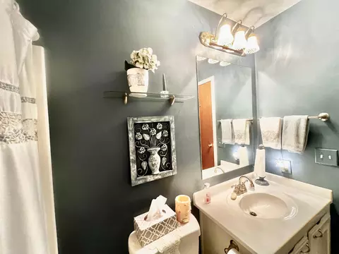 Bath - 8056 Sawdey Rd, Jerome, MI 49249 photo 3 of 6