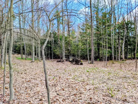 Vl W Jagger Road, Ludington, MI 49431