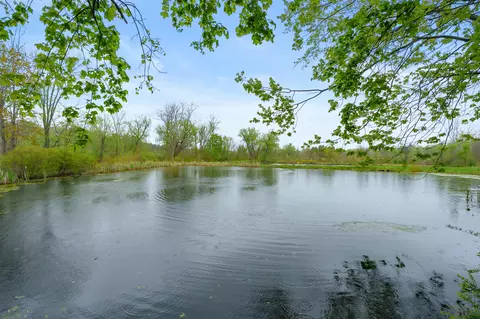 View/Area - 10320 Douglas Ave, Plainwell, MI 49080 photo 1 of 15