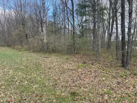 E Madison Road, Walkerville, MI 49459 photo 4