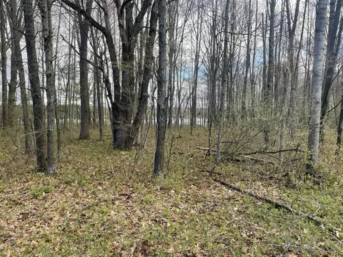 E Madison Road, Walkerville, MI 49459 photo 2