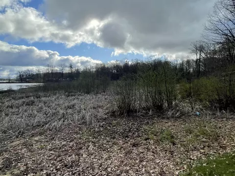 E Madison Road, Walkerville, MI 49459 photo 3