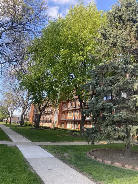2915 W 13 Mile Rd #209, Royal Oak, MI 48073