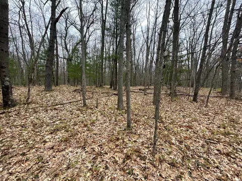 Parcel D Coates Hwy, Brethren, MI 49619