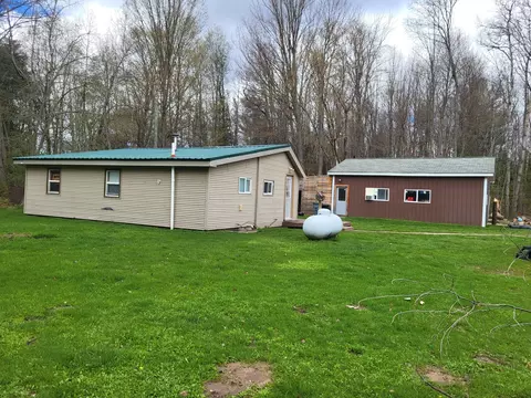 12496 Big Four Rd, Bear Lake, MI 49614