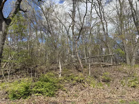 V/l Anderson Road, Cassopolis, MI 49031