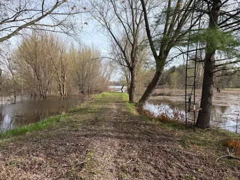 View/Area - 3344 E Hansen Rd, Custer, MI 49405 photo 10 of 10