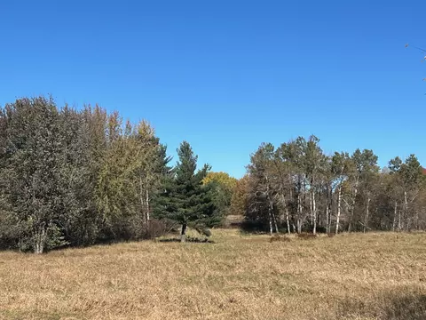 Other - 3344 E Hansen Rd, Custer, MI 49405 photo 12 of 16