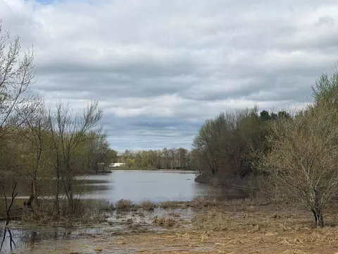 View/Area - 3344 E Hansen Rd, Custer, MI 49405 photo 9 of 10