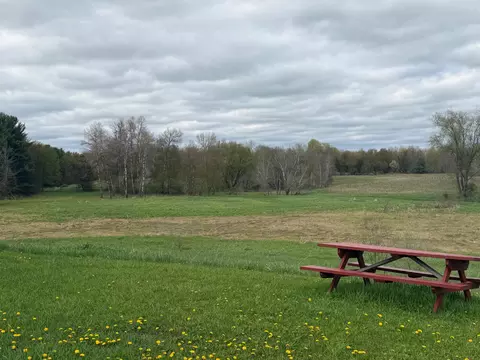Other - 3344 E Hansen Rd, Custer, MI 49405 photo 14 of 16