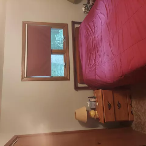 405 Buck Rd, Coldwater, MI 49036 photo 43