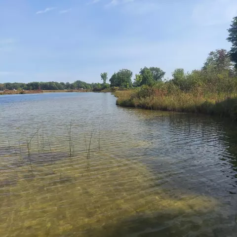 405 Buck Rd, Coldwater, MI 49036 photo 4