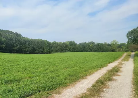 405 Buck Rd, Coldwater, MI 49036 photo 10