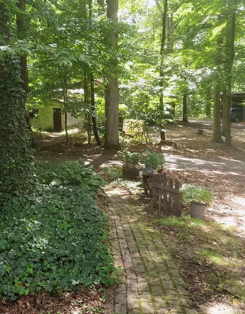 405 Buck Rd, Coldwater, MI 49036 photo 30