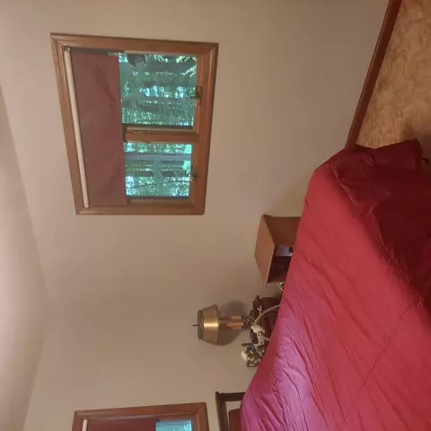 405 Buck Rd, Coldwater, MI 49036 photo 44