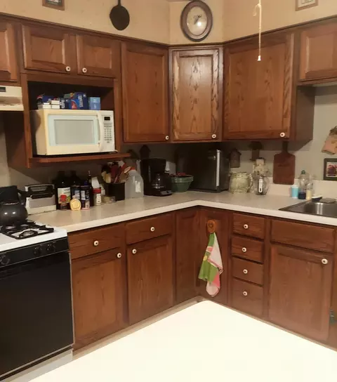 405 Buck Rd, Coldwater, MI 49036 photo 53