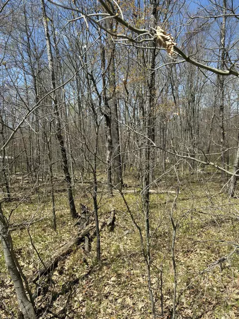 V/l Shadowbrook Drive, Lake, MI 48632
