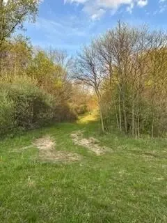 675 Marsh Rd, Plainwell, MI 49080 photo 14