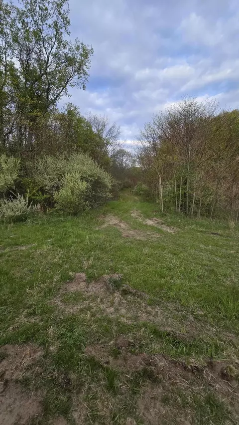 675 Marsh Rd, Plainwell, MI 49080 photo 27