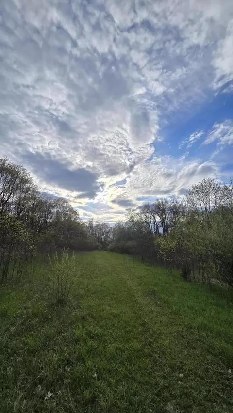 675 Marsh Rd, Plainwell, MI 49080 photo 42