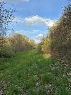 675 Marsh Rd, Plainwell, MI 49080 photo 21