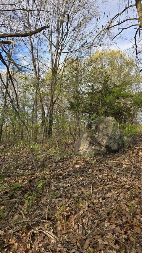 675 Marsh Rd, Plainwell, MI 49080 photo 47