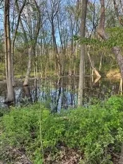 675 Marsh Rd, Plainwell, MI 49080 photo 10