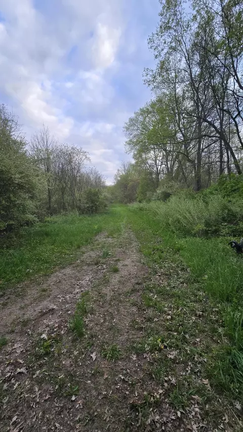 675 Marsh Rd, Plainwell, MI 49080 photo 38