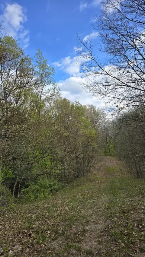 683 Marsh Rd, Plainwell, MI 49080 photo 34