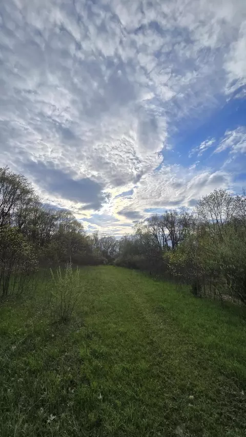 683 Marsh Rd, Plainwell, MI 49080 photo 17