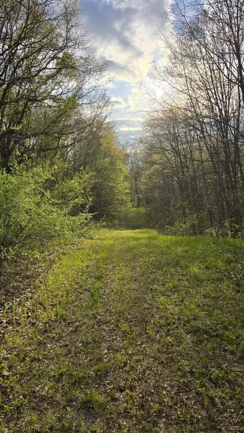 690 Pierce Rd, Plainwell, MI 49080 photo 22