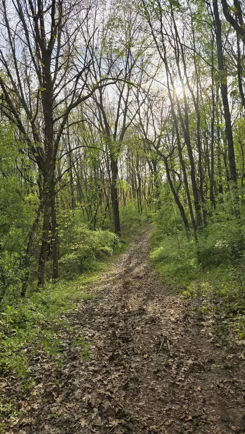 690 Pierce Rd, Plainwell, MI 49080 photo 32