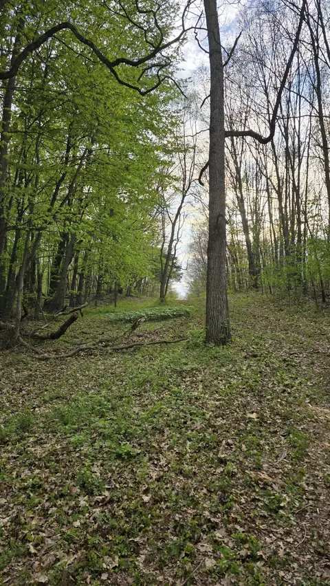 690 Pierce Rd, Plainwell, MI 49080 photo 24