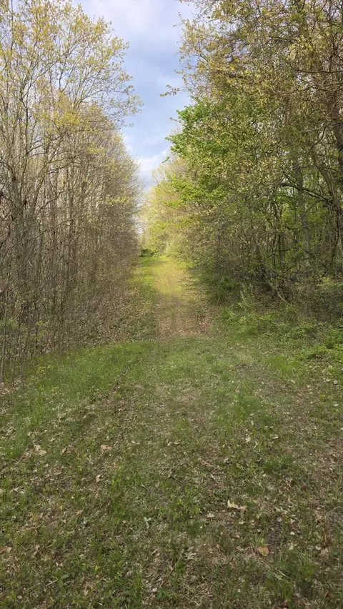 690 Pierce Rd, Plainwell, MI 49080 photo 20